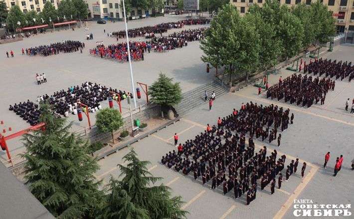 Гвозди бы делать из этих детей...