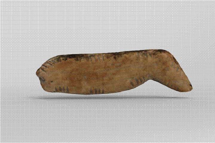 Новосибирские археологи нашли древнюю фигурку льва в Денисовой пещере