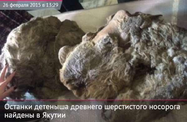 Белые страницы истории Сибири (часть-11). Археология и артефакты.