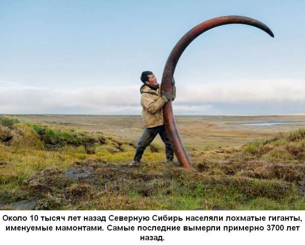Белые страницы истории Сибири (часть-11). Археология и артефакты.