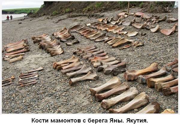 Белые страницы истории Сибири (часть-11). Археология и артефакты.