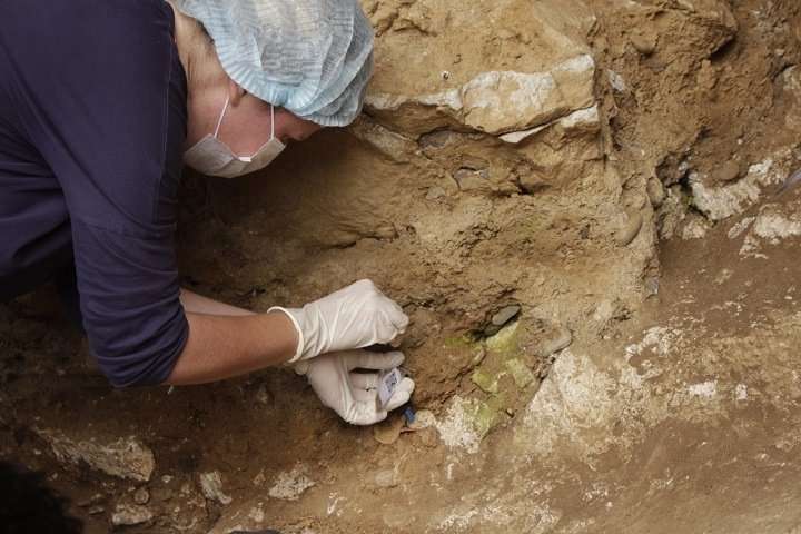 Сибирские ученые впервые извлекли ядерную ДНК неандертальцев со дна пещеры