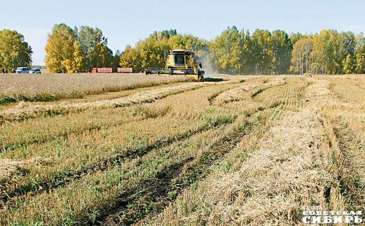 Готовимся к перезапуску сельской экономики